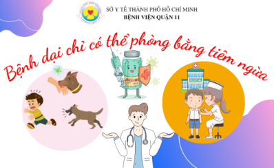(HCDC)-Bệnh dại chỉ có thể phòng bằng tiêm ngừa